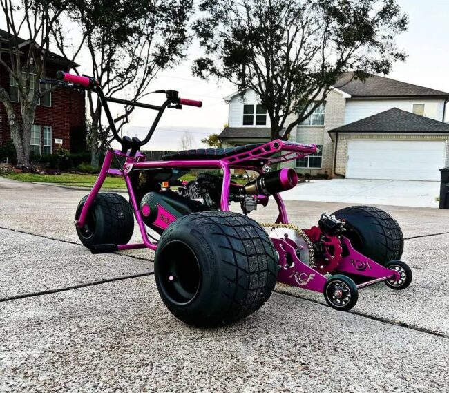 Racing Raspberry Mini Tike